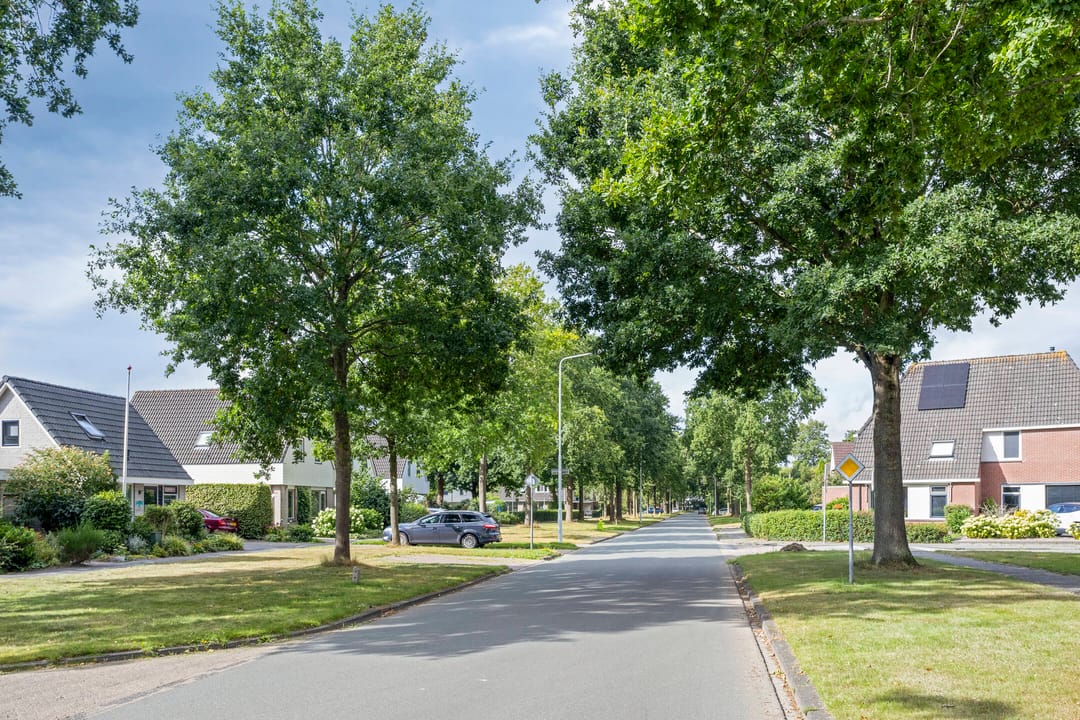 Photo 52 of De Yp 94