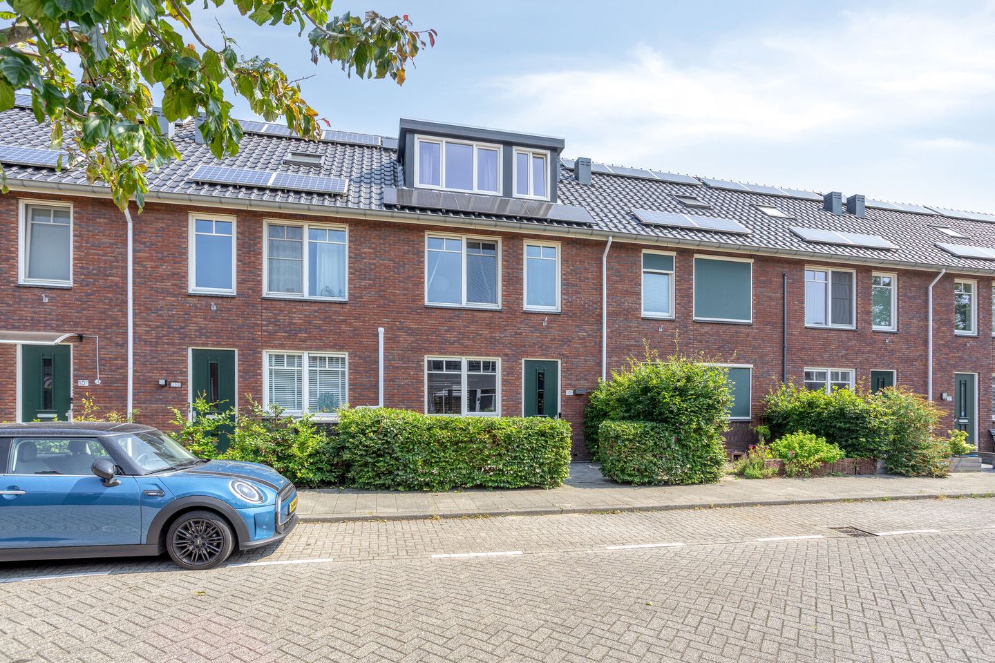 Foto 1 van Rijstgras 10-E