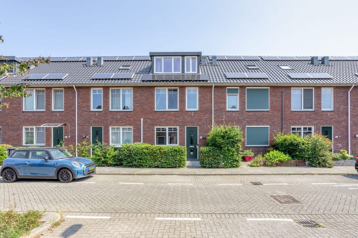 Foto 6 van Rijstgras 10-E