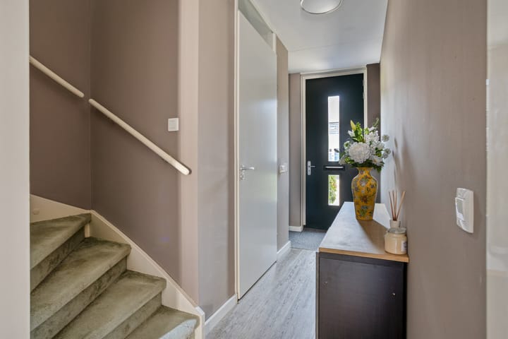 Foto 7 van Rijstgras 10-E