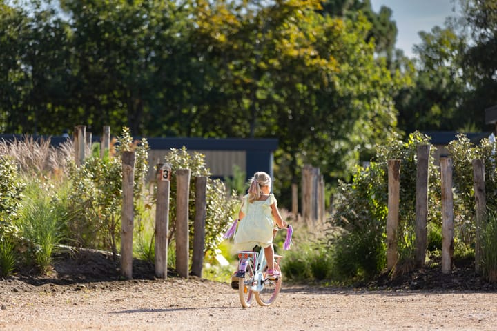 Photo 23 of Duynhof 6