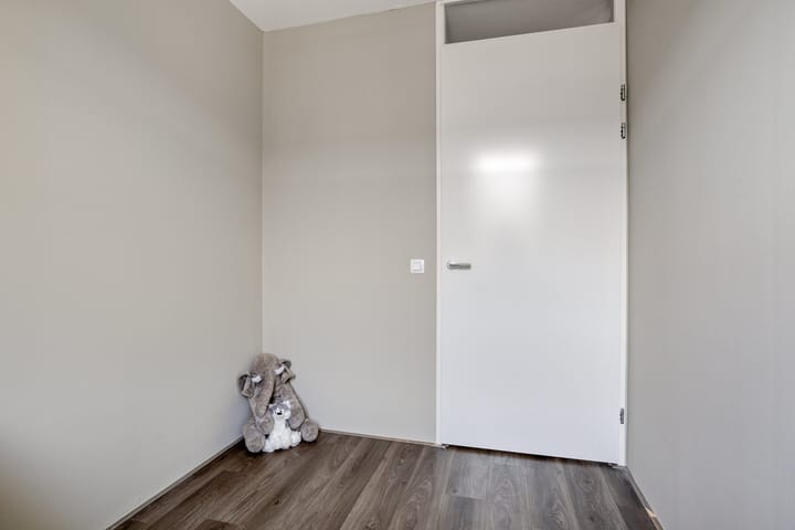 Foto 31 van Rijstgras 10-E