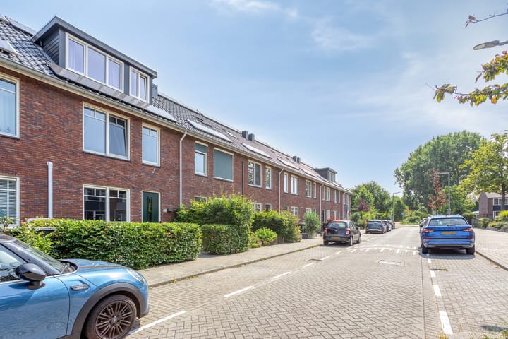 Foto 32 van Rijstgras 10-E