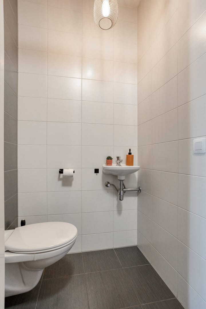 Foto 36 van Rijstgras 10-E