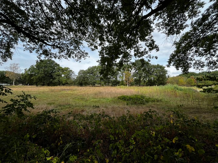 Foto 7 van Scheepenstraat