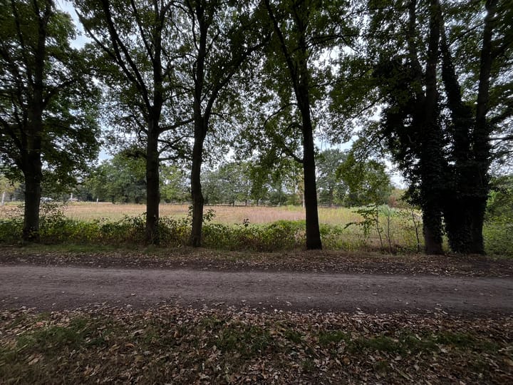 Foto 6 van Scheepenstraat