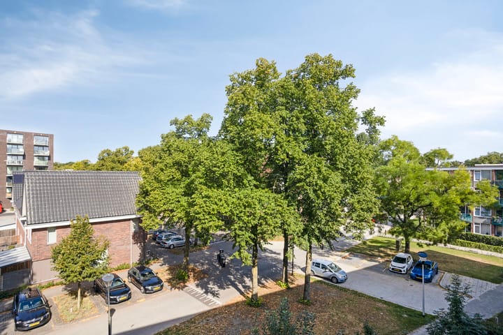 Foto 17 van Douwelerwetering 19