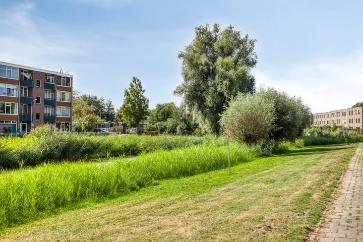 Foto 24 van Douwelerwetering 19