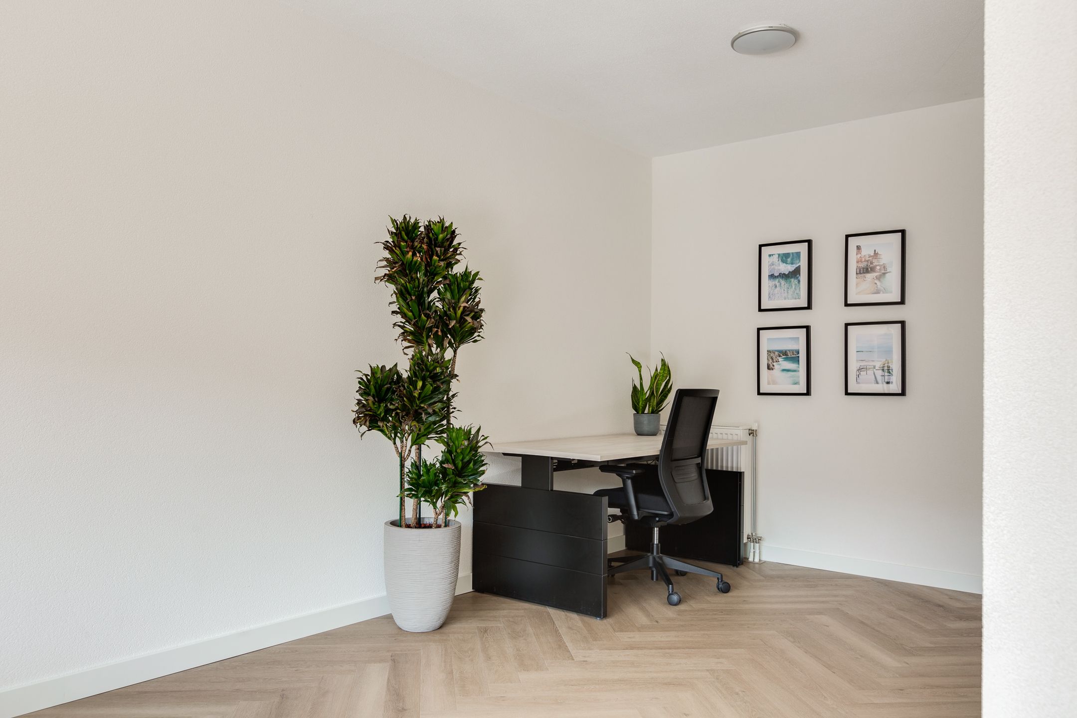 Photo 18 of Oudzoom 40