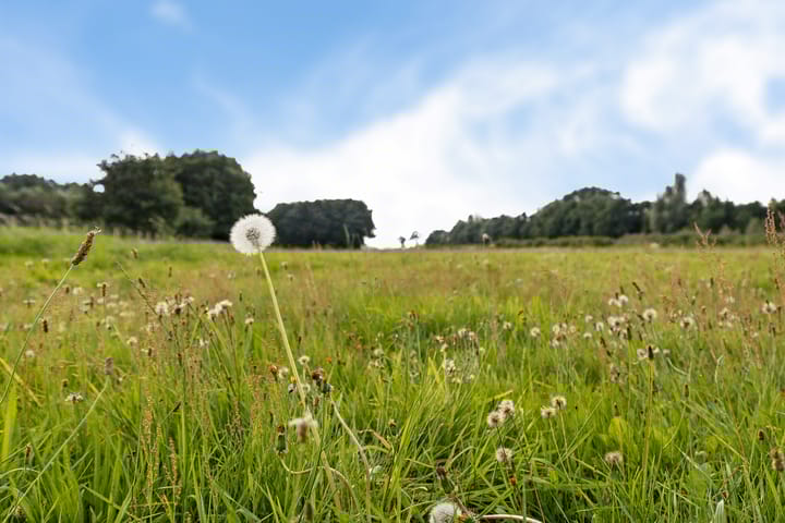 Foto 17 van Het Veen 2