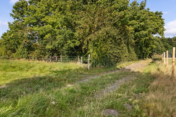 Foto 20 van Het Veen 2