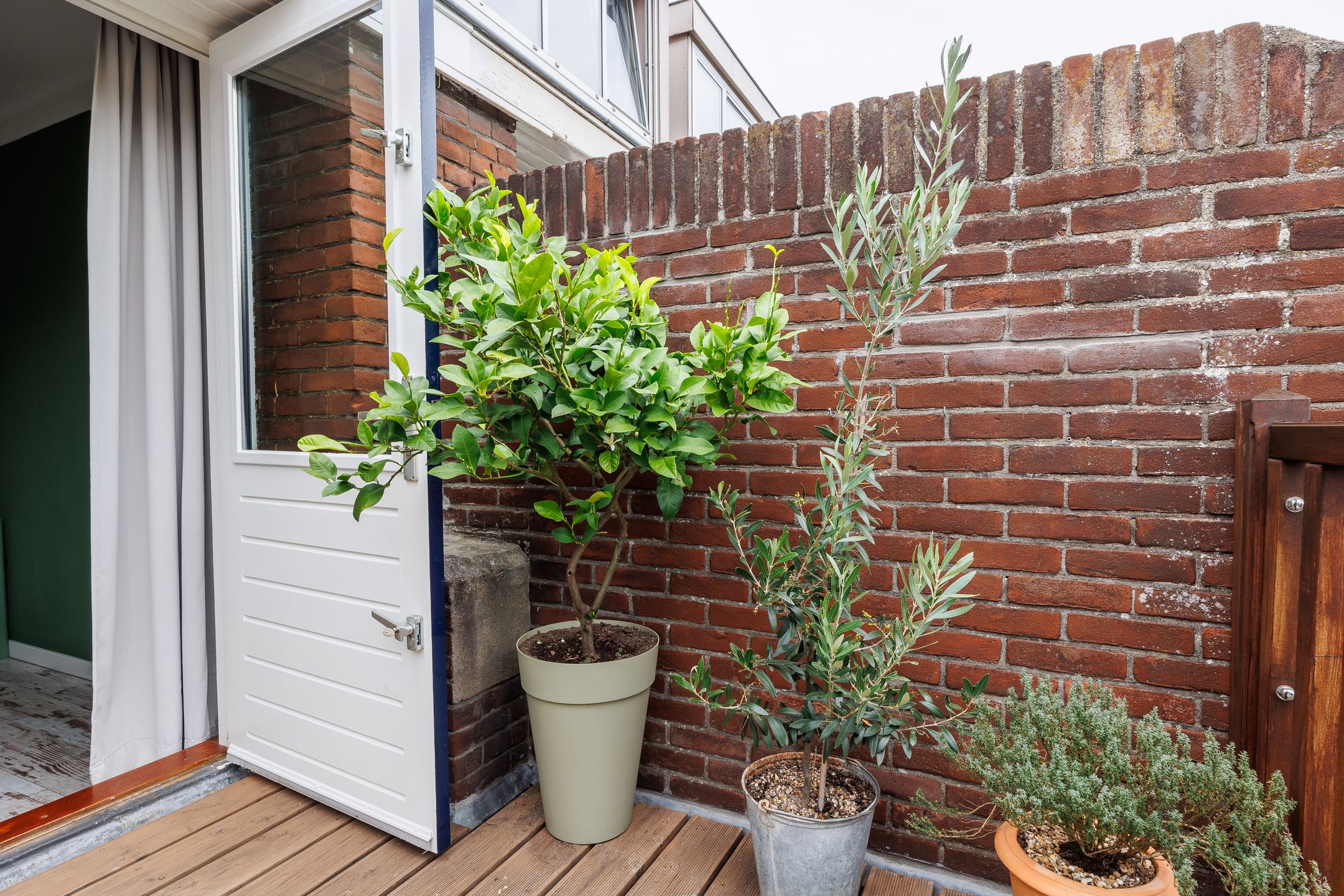 Foto 33 van Hatertseweg 799