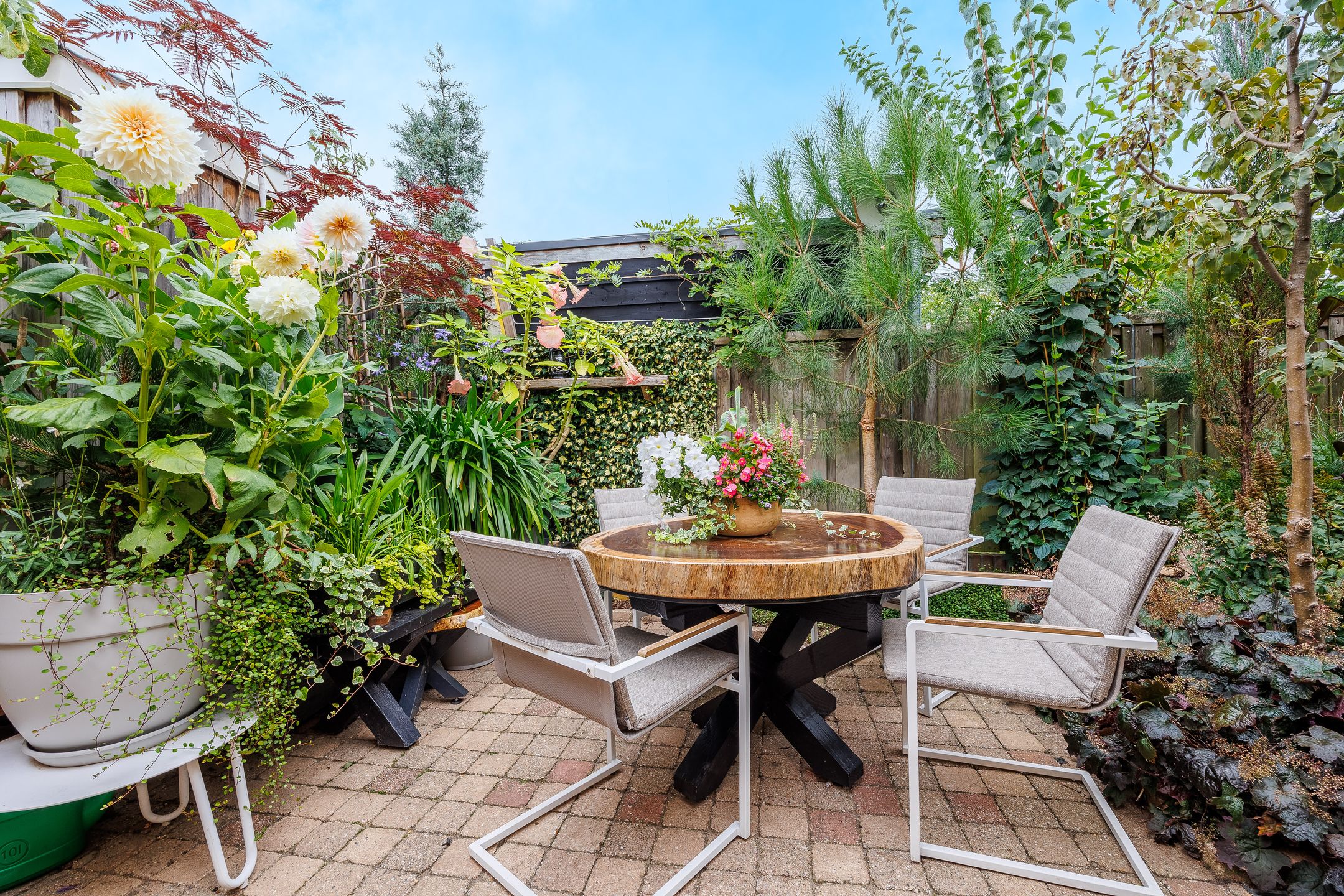 Foto 42 van Hatertseweg 799