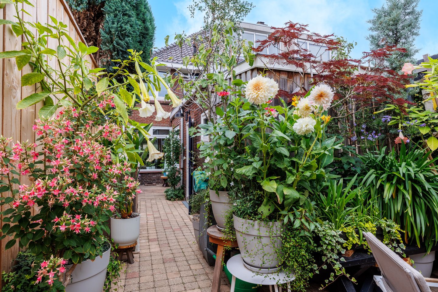 Foto 44 van Hatertseweg 799