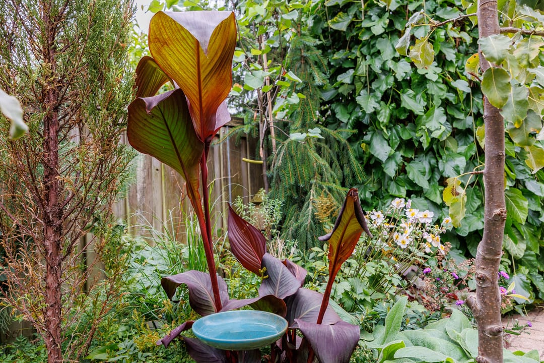 Foto 46 van Hatertseweg 799