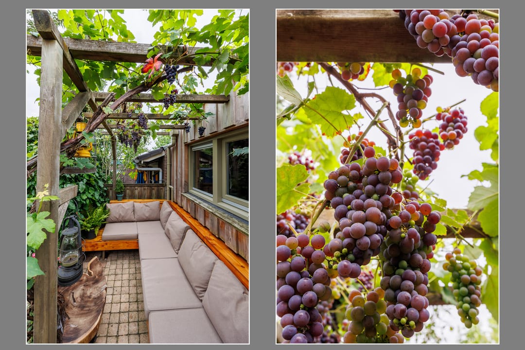 Foto 52 van Hatertseweg 799