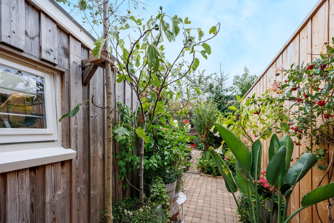 Foto 53 van Hatertseweg 799