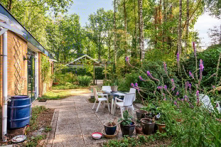 Photo 3 of Looërmark 38