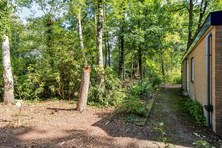 Photo 4 of Looërmark 38