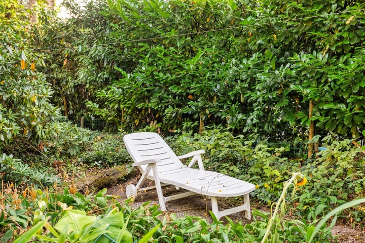 Photo 29 of Looërmark 38