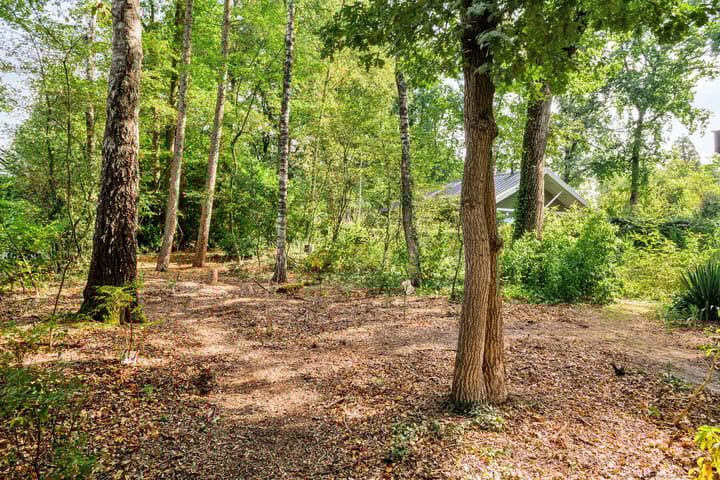 Photo 31 of Looërmark 38