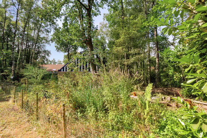 Photo 34 of Looërmark 38