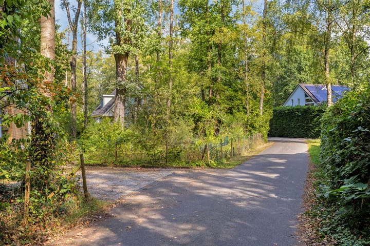 Photo 39 of Looërmark 38