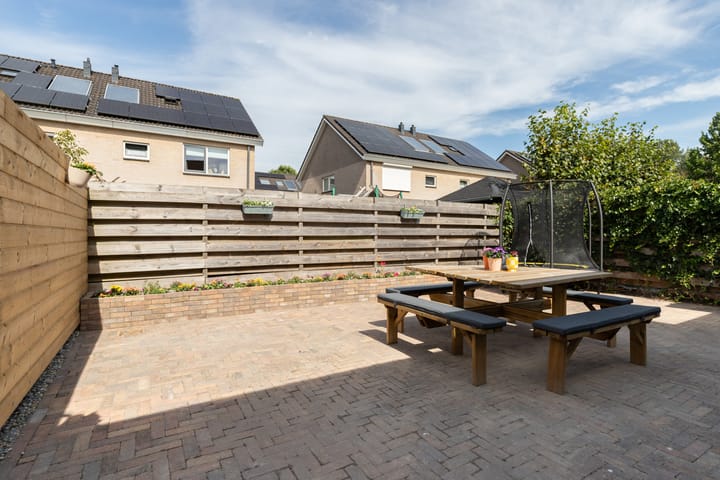 Foto 19 van Pluit 10