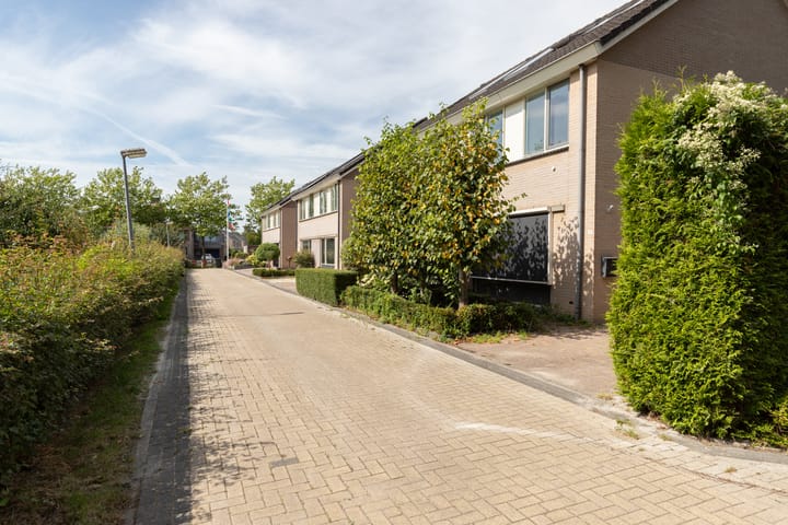 Foto 35 van Pluit 10