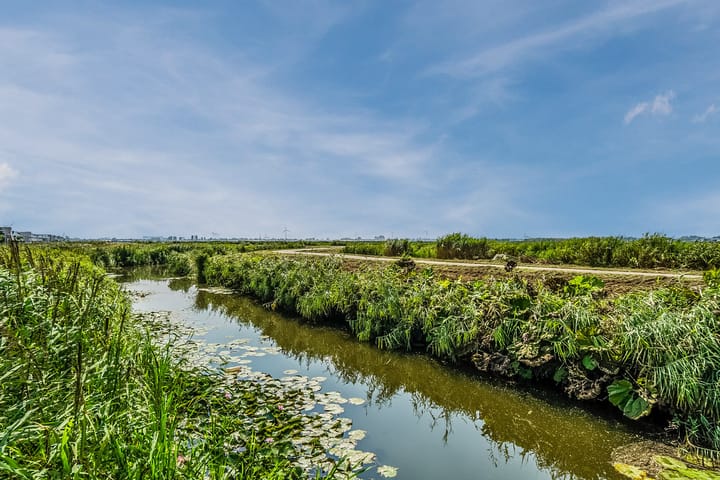 Foto 5 van J. Zwartstraat 19