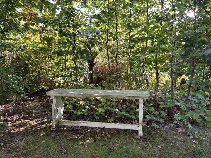 Foto 7 van Sint Maartensweg 40-H3