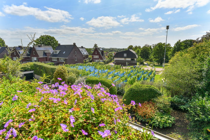 Foto 2 van Utrechtseweg 227-2