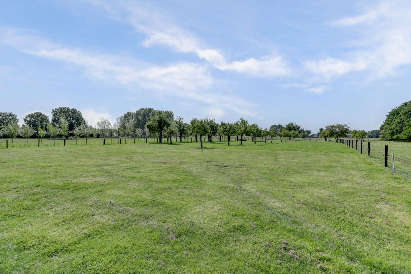 Foto 40 van Burgemeester van der Lelystraat 103