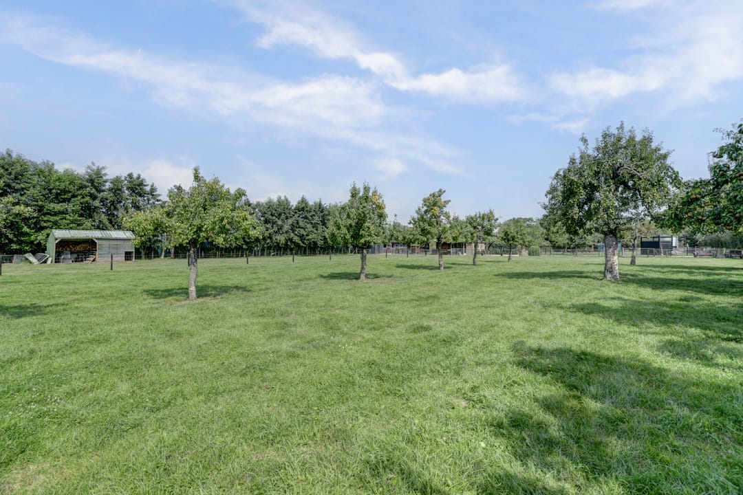 Foto 41 van Burgemeester van der Lelystraat 103