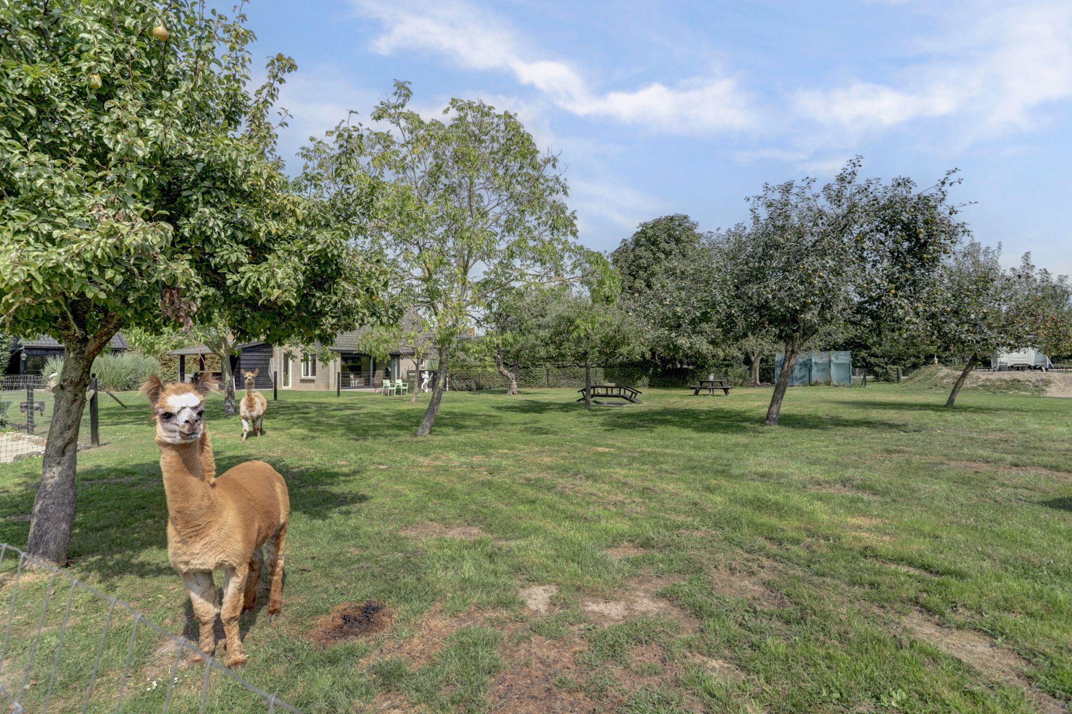 Foto 42 van Burgemeester van der Lelystraat 103