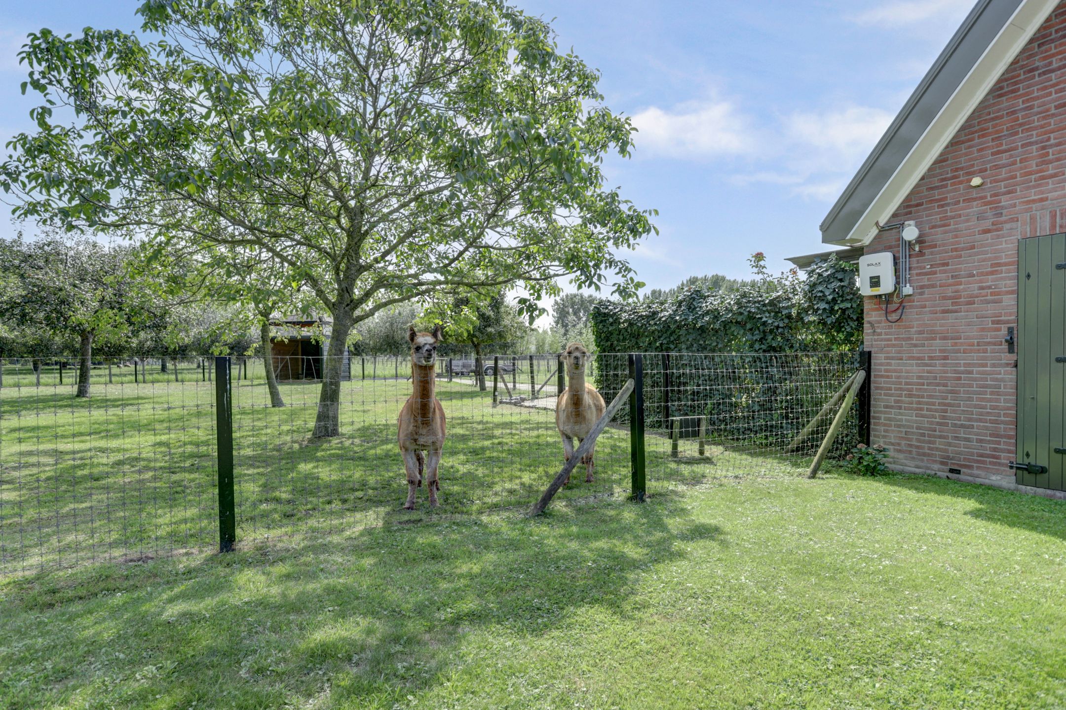 Foto 60 van Burgemeester van der Lelystraat 103