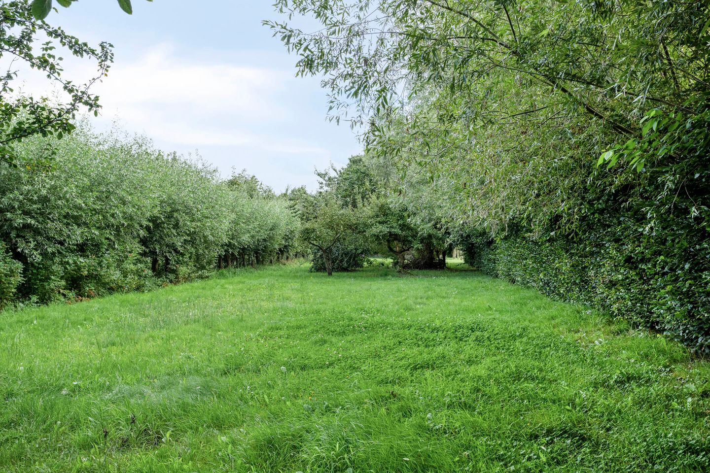 Foto 4 van Veenweg 2