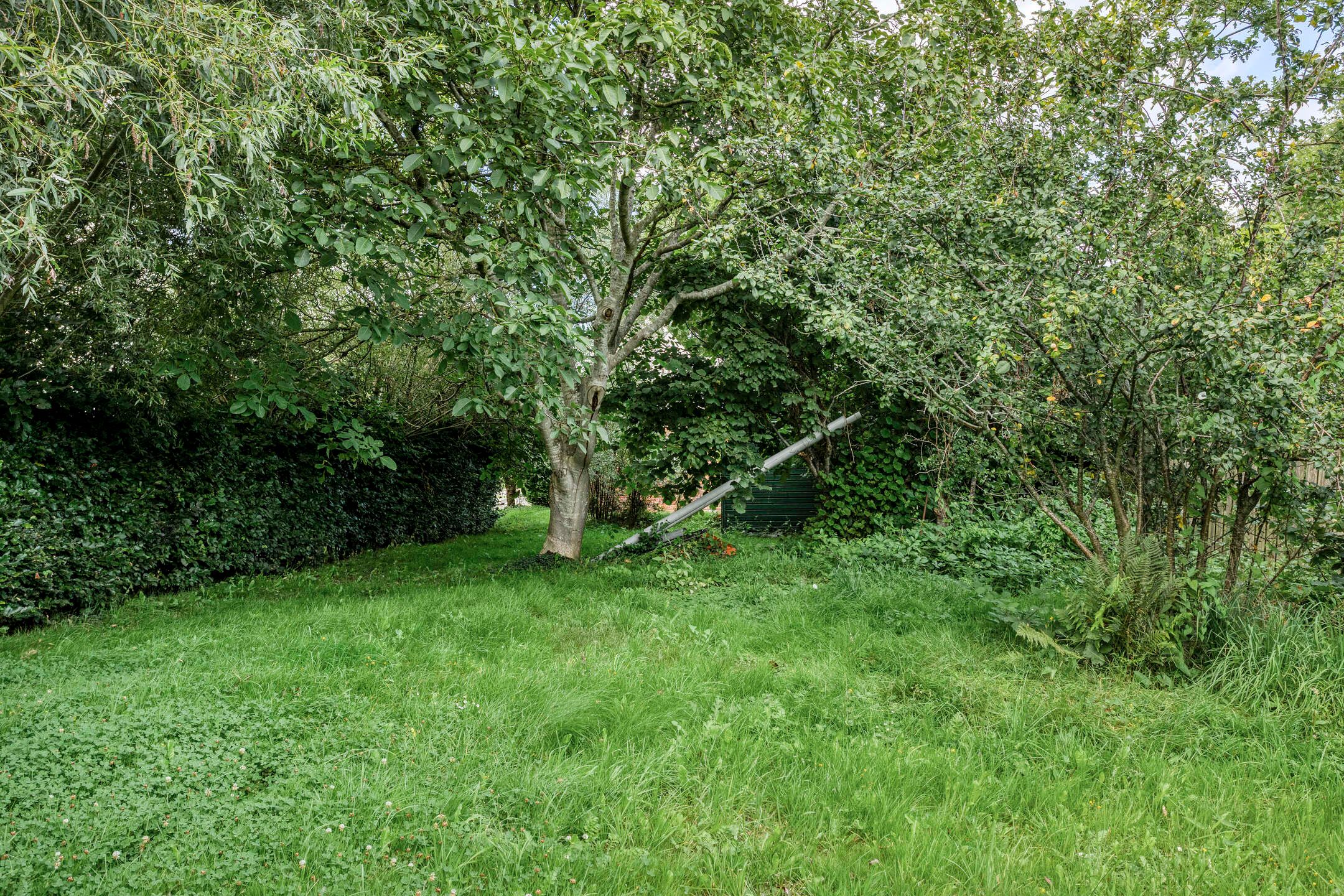 Foto 36 van Veenweg 2