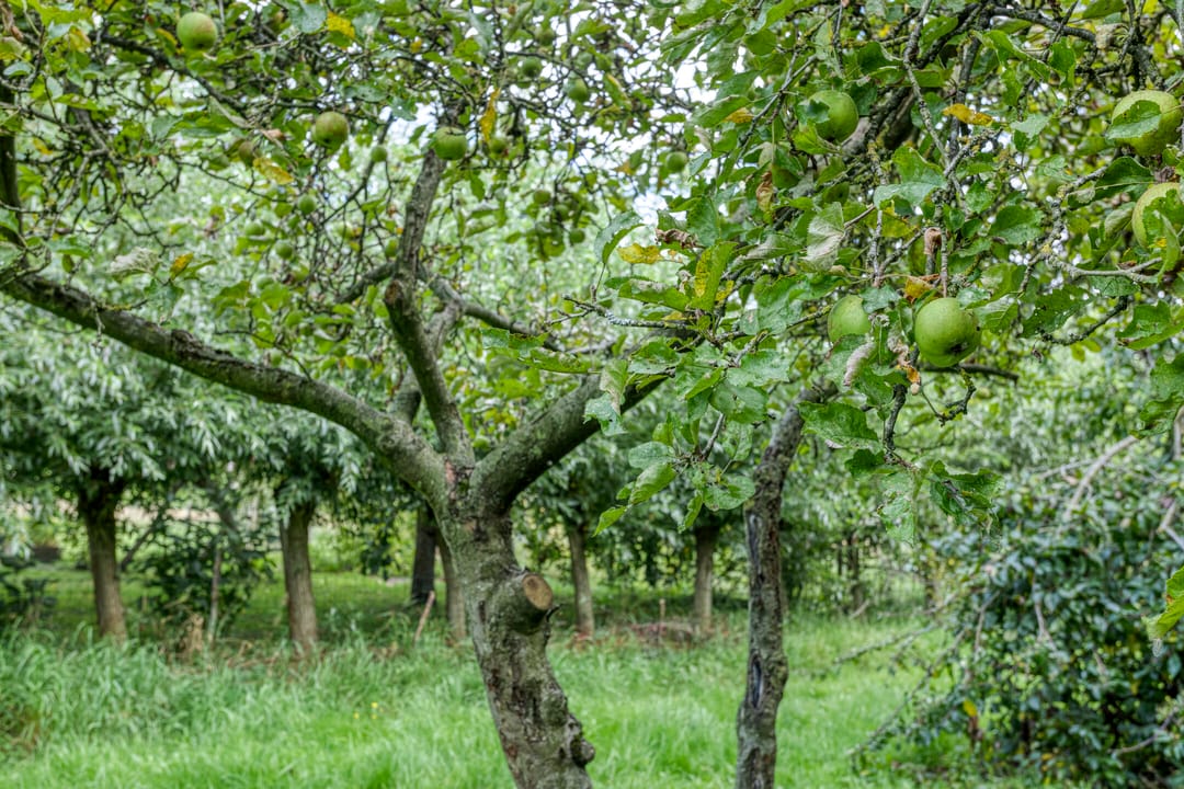 Foto 37 van Veenweg 2