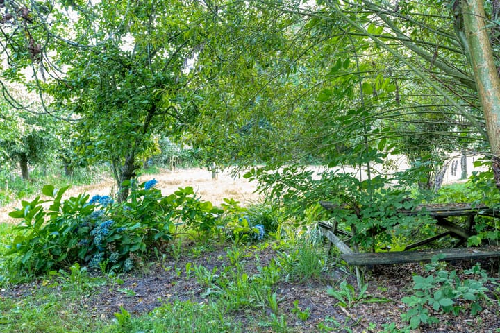 Photo 38 of Veenweg 2