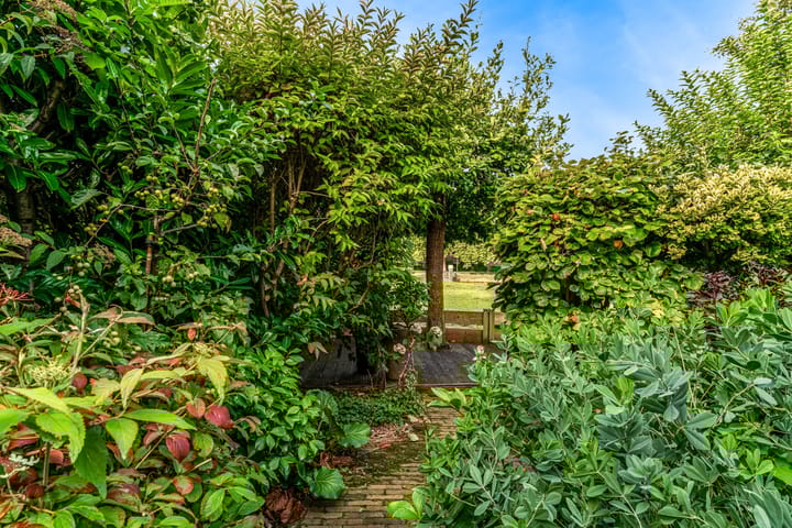 Foto 46 van Oxfordlaan 15