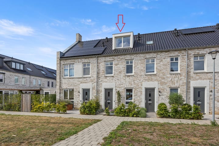 Foto 38 van Strengpers 3