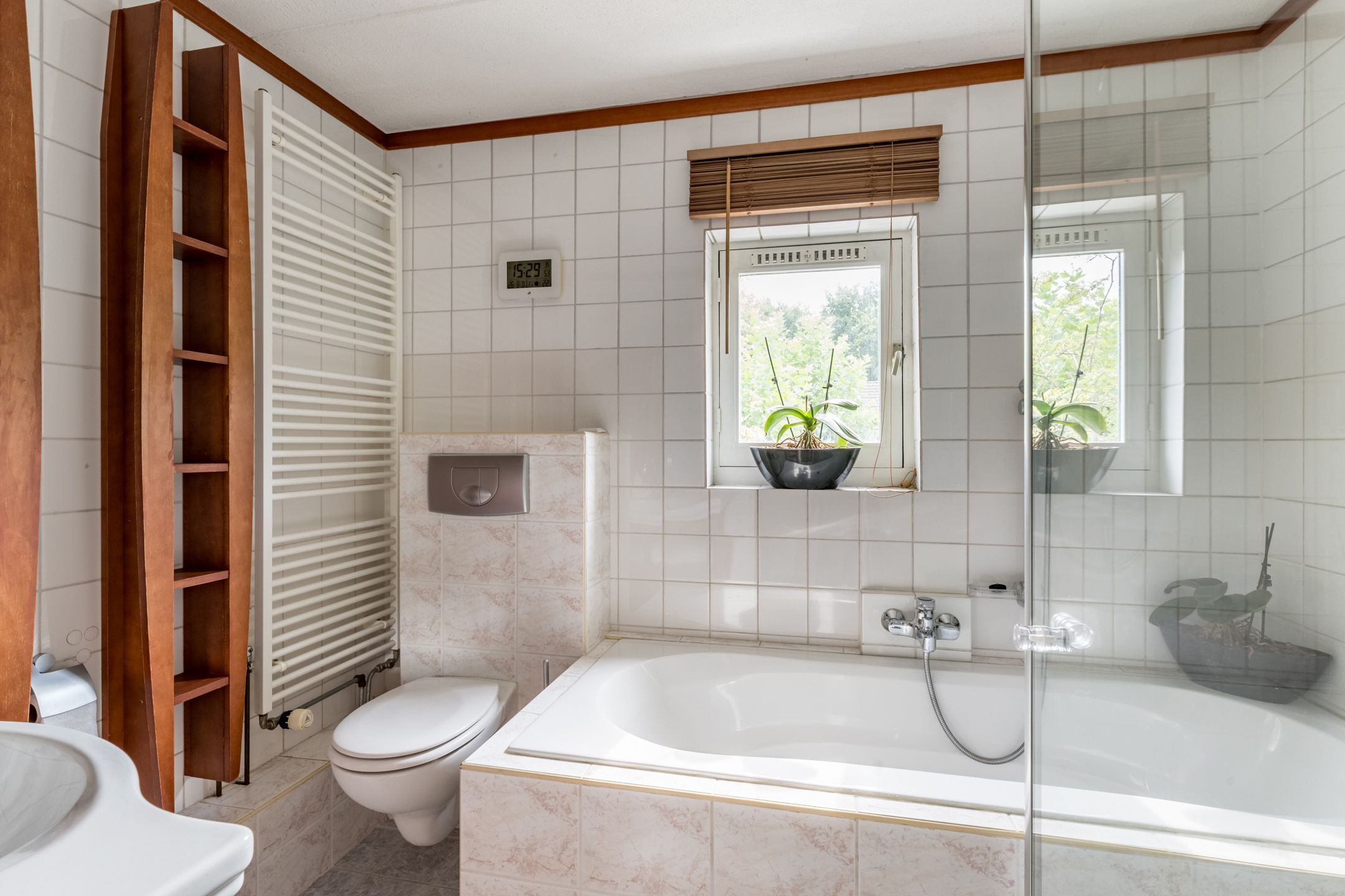 Foto 21 van Valeriaan 27