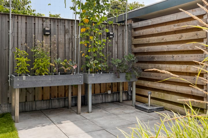 Foto 33 van Poortersveld 814