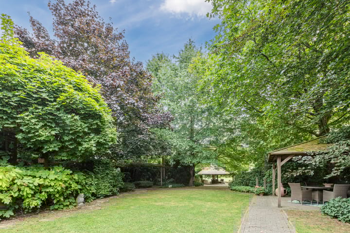 Foto 52 van De Scheifelaar 240