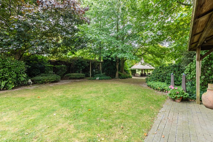 Foto 54 van De Scheifelaar 240