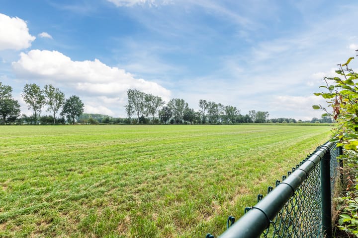 Foto 57 van De Scheifelaar 240