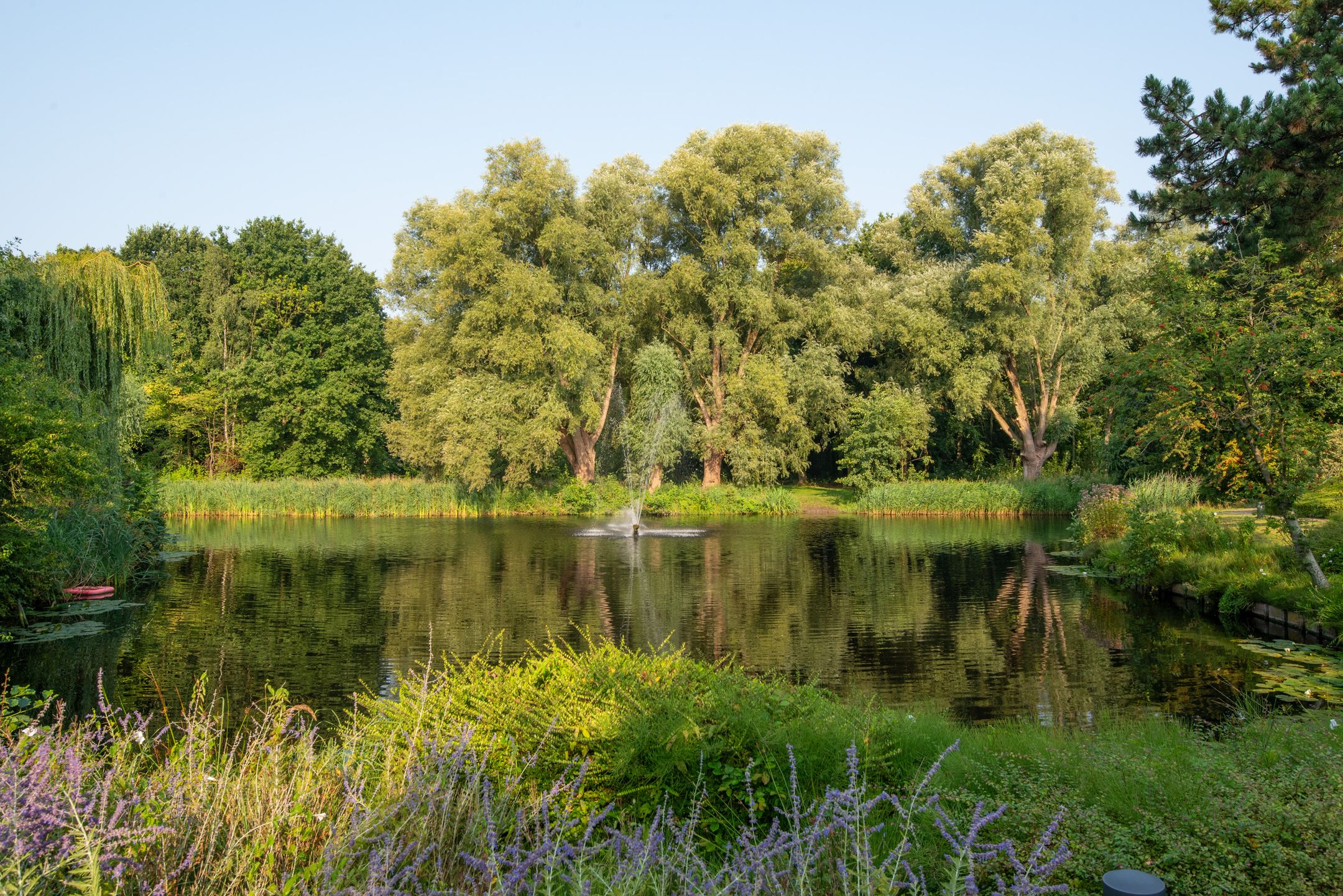 Photo 33 of Zeeweg 232