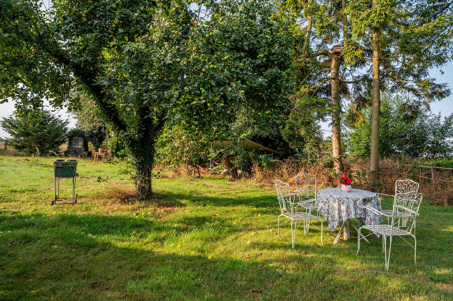 Foto 40 van Prinsenbaan 219