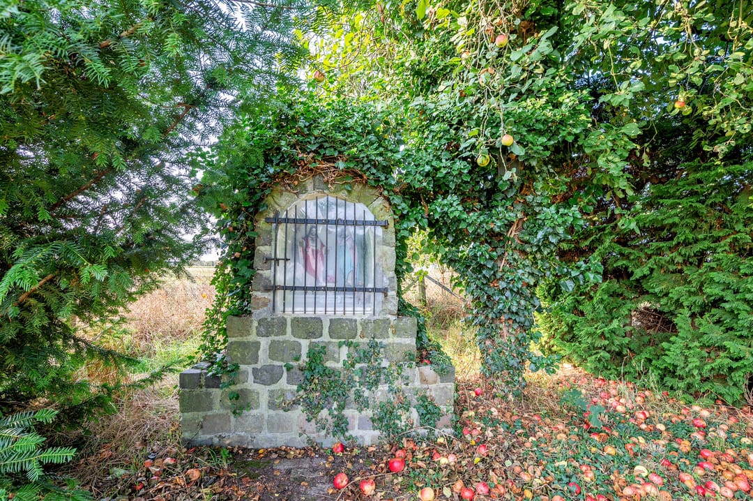 Foto 41 van Prinsenbaan 219